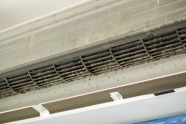 Best Duct Cleaning for Homes  in Cetronia, PA